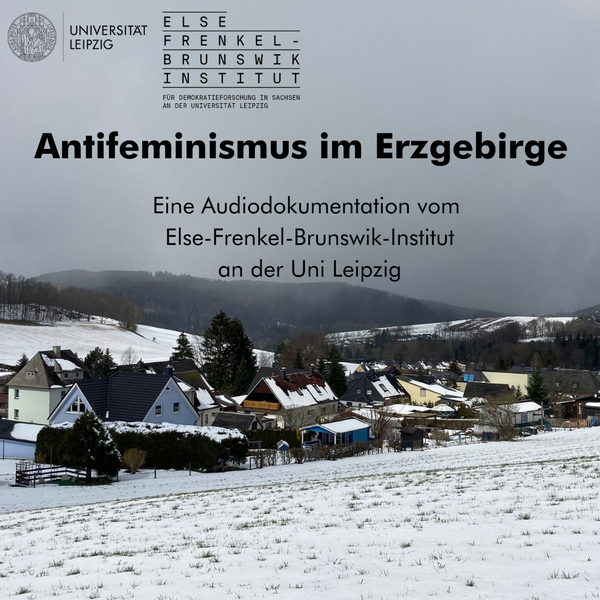 EFBI Fachtag Antifeminismus Audiodok