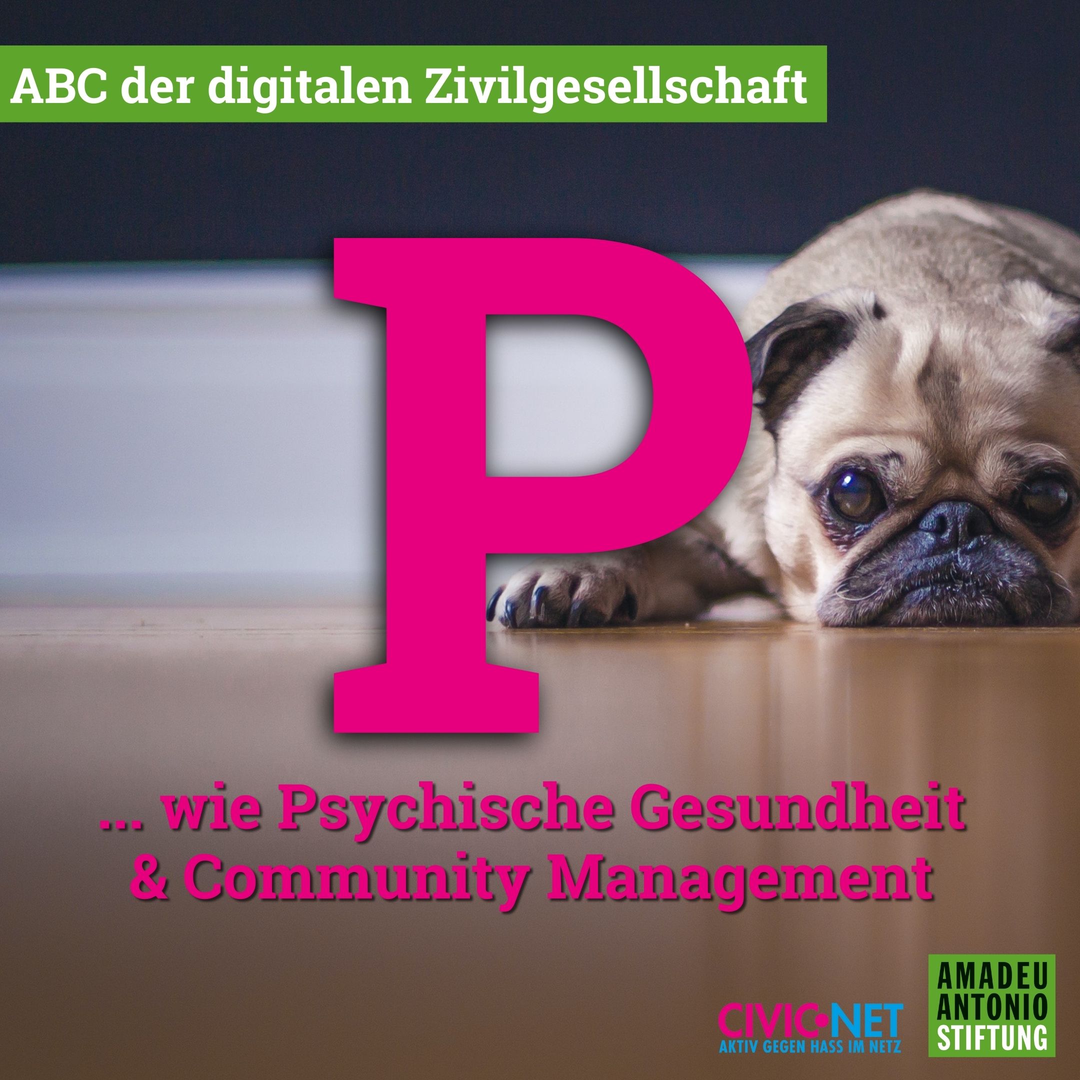 Abbildung zu P wie Psychische Gesundheit und Community Management