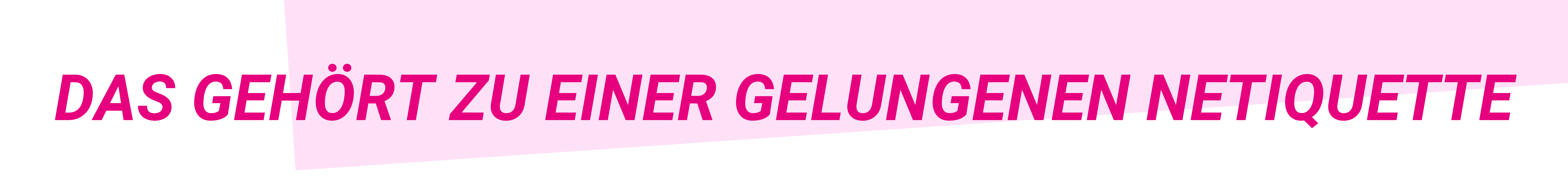 Überschrift: Das gehört zu einer gelungenen Netiquette
