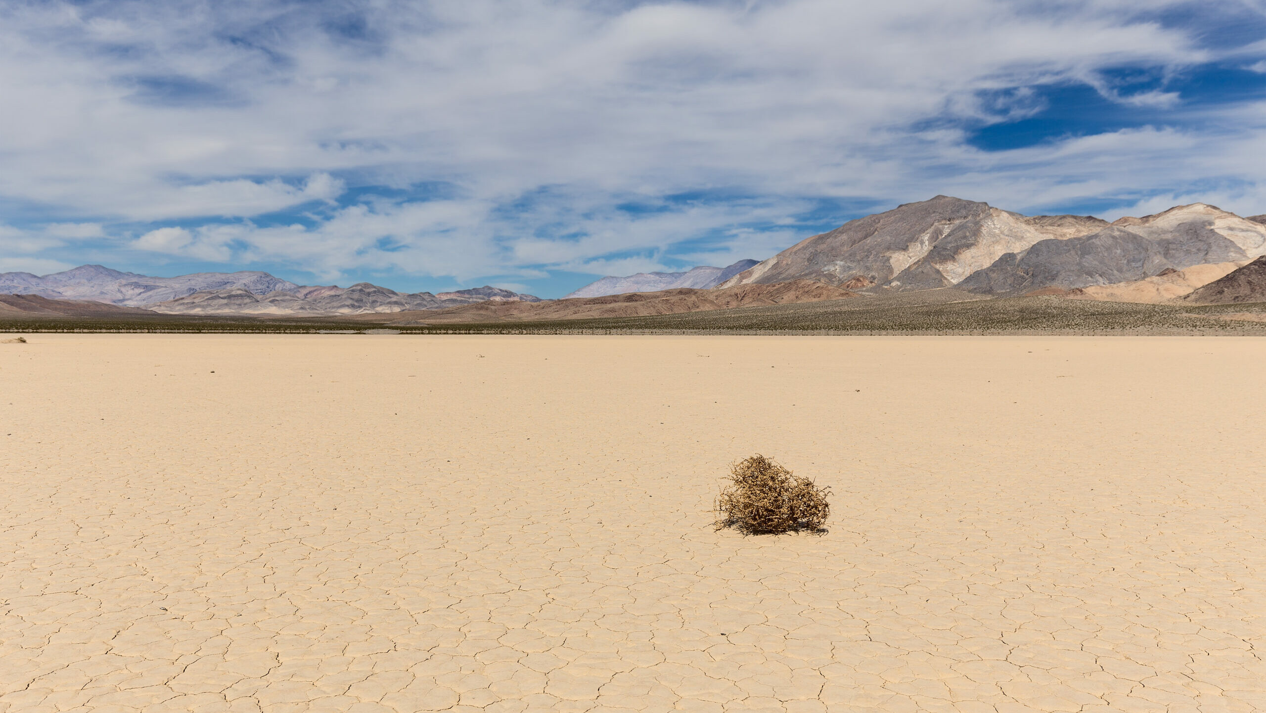 Tumbleweed on dry lake bed in desert