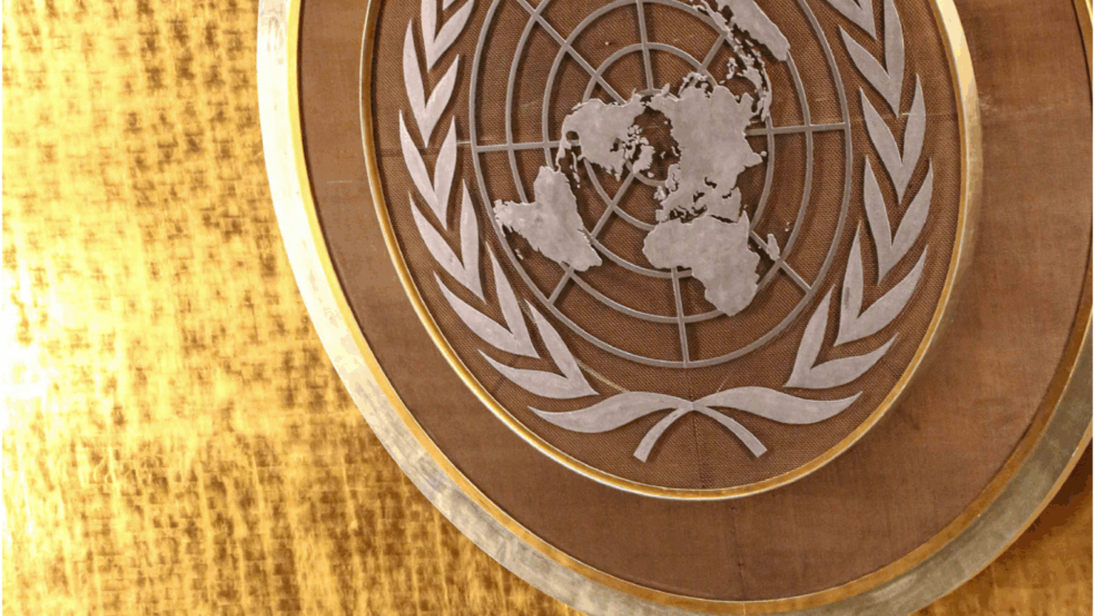 Wann Wurde Die Uno Gegründet Die Rolle der UNO im Fokus – Neues Zivilgesellschaftliches Lagebild