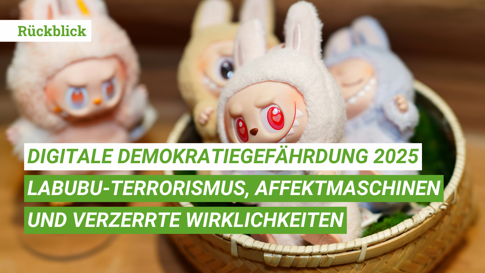 Beitrag_Rückblick_digitale Demokratiegefährdung