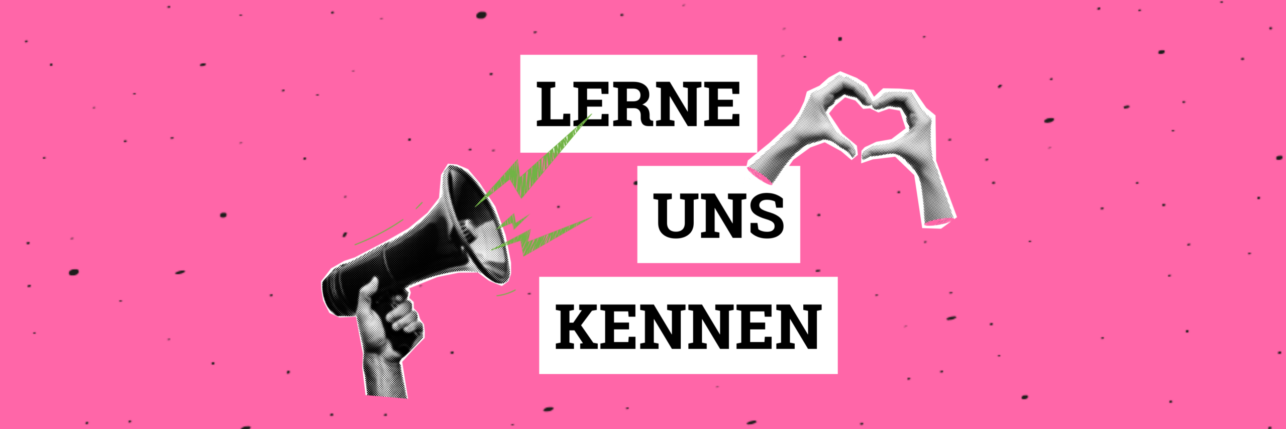 Website AAS (1145 x 382 px)(6)