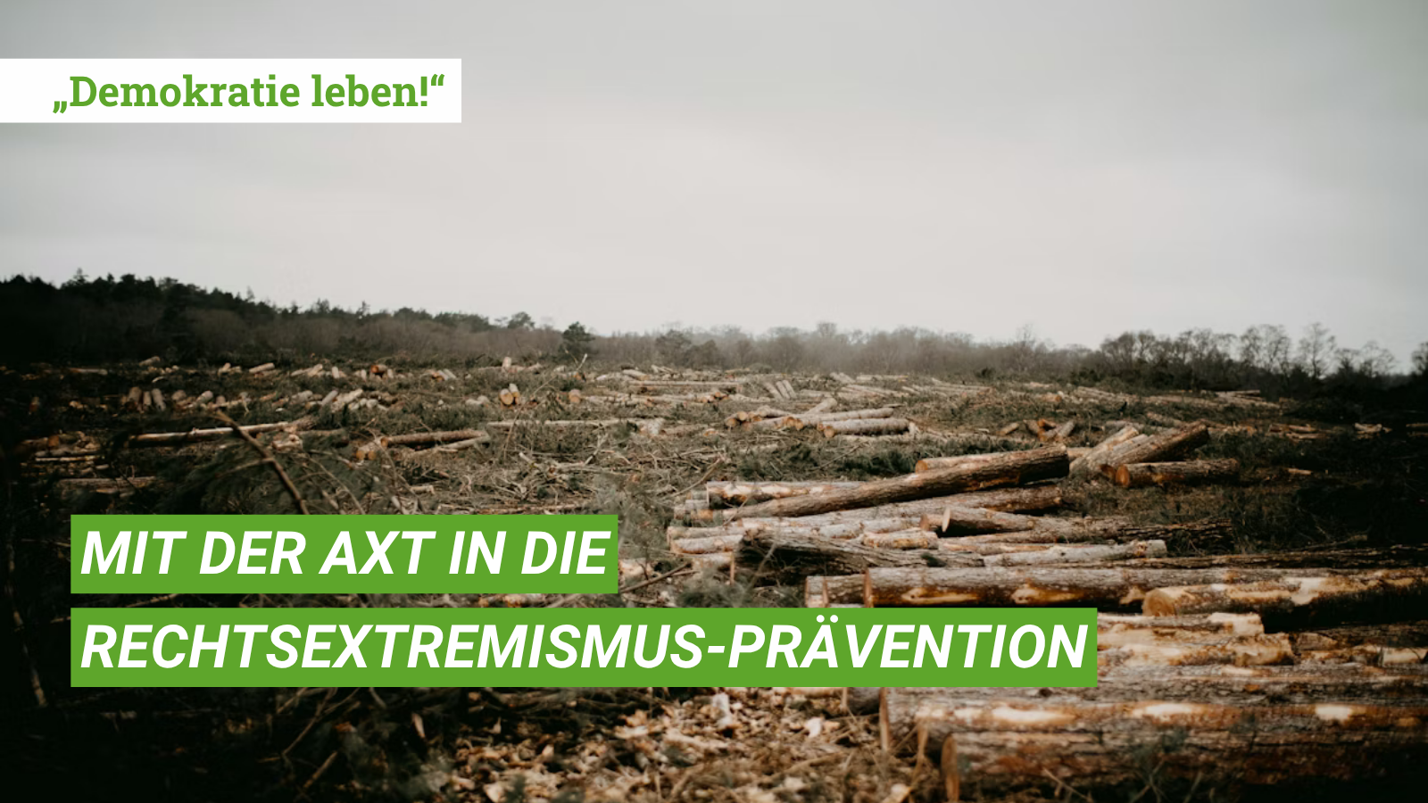 Demokratie leben_Kürzungen_Unsplash_Annie Spratt