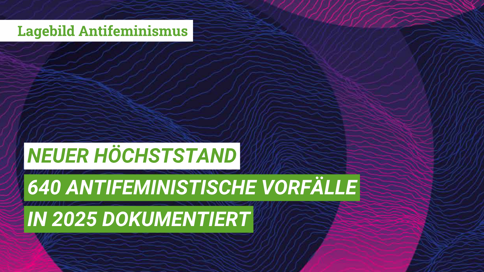 Lagebild Antifeminismus 2025 Beitragsbild