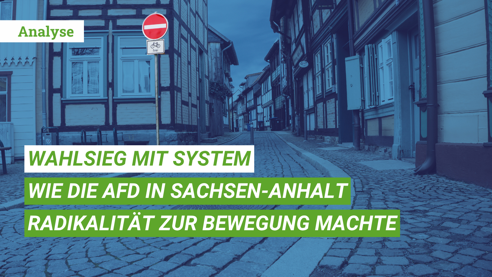 Anylase_AfD_Wahlerfolg_LSA_Beitragsbild