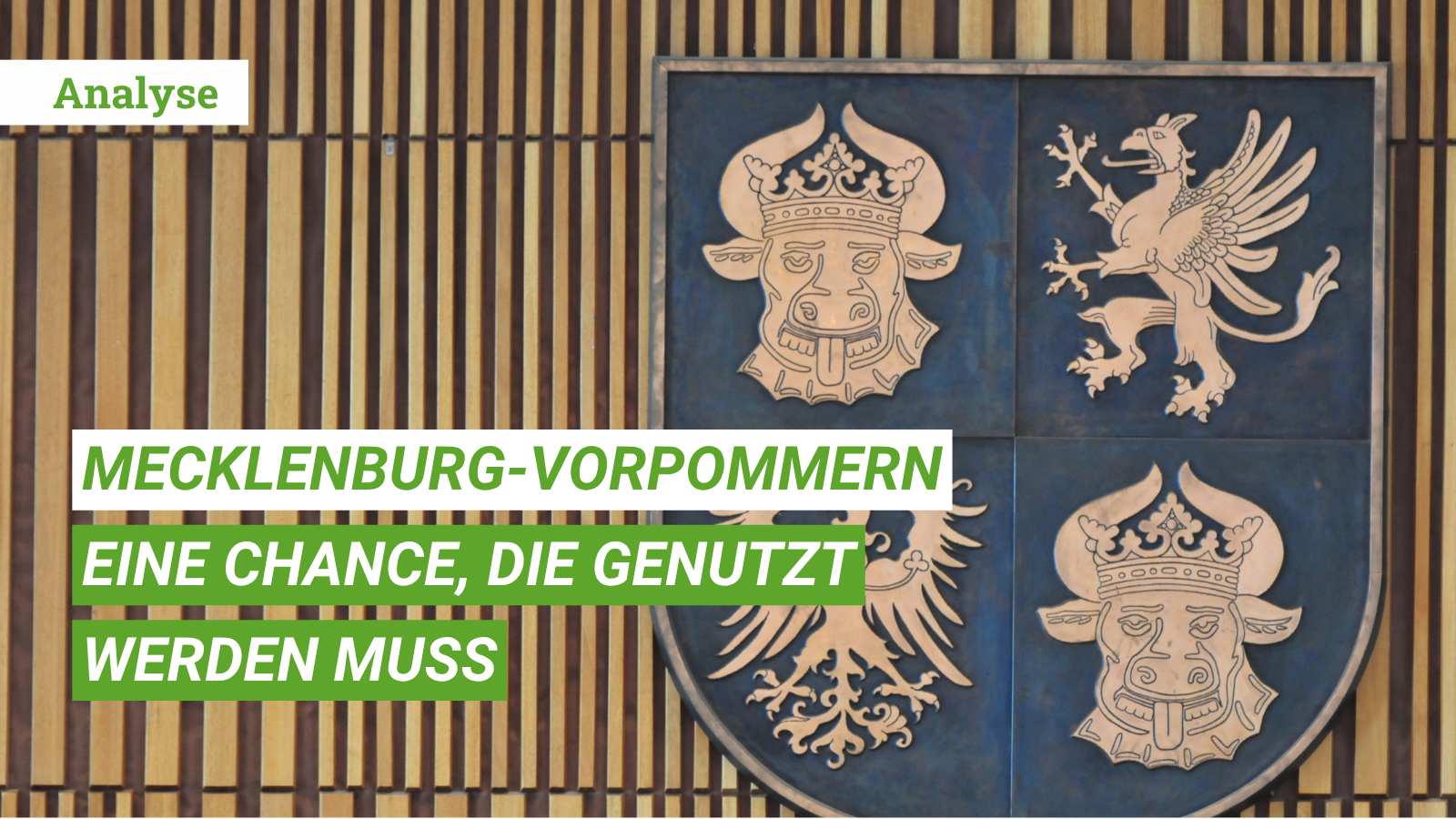 Wahlen MV_2026_Beitragsbild